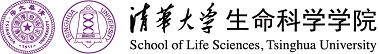 304am永利集团官网